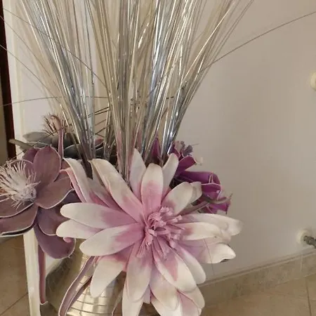 Appartement Monte Anastacia *